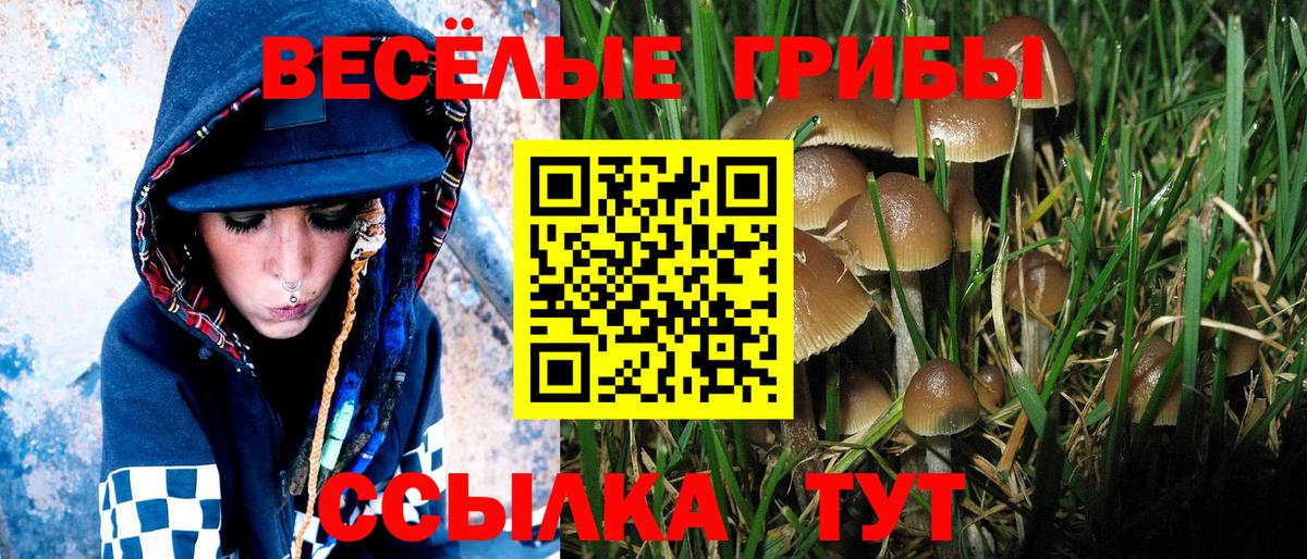 Галлюциногенные грибы Cubensis Красноярск