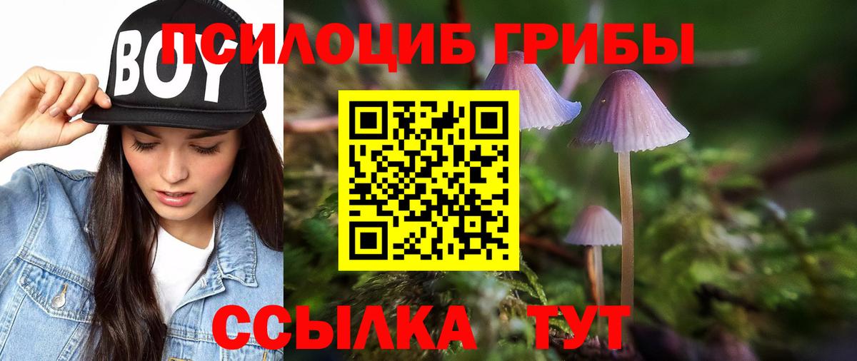 Красноярск  Псилоцибиновые грибы Magic Shrooms  Вход с VPN 